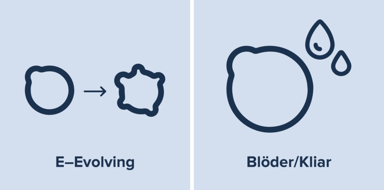 Födelsemärken E födelsemärken_E.png